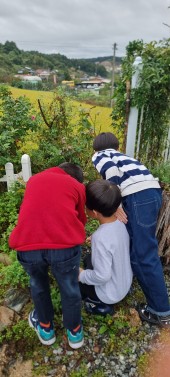 ����ũ�Ժ���